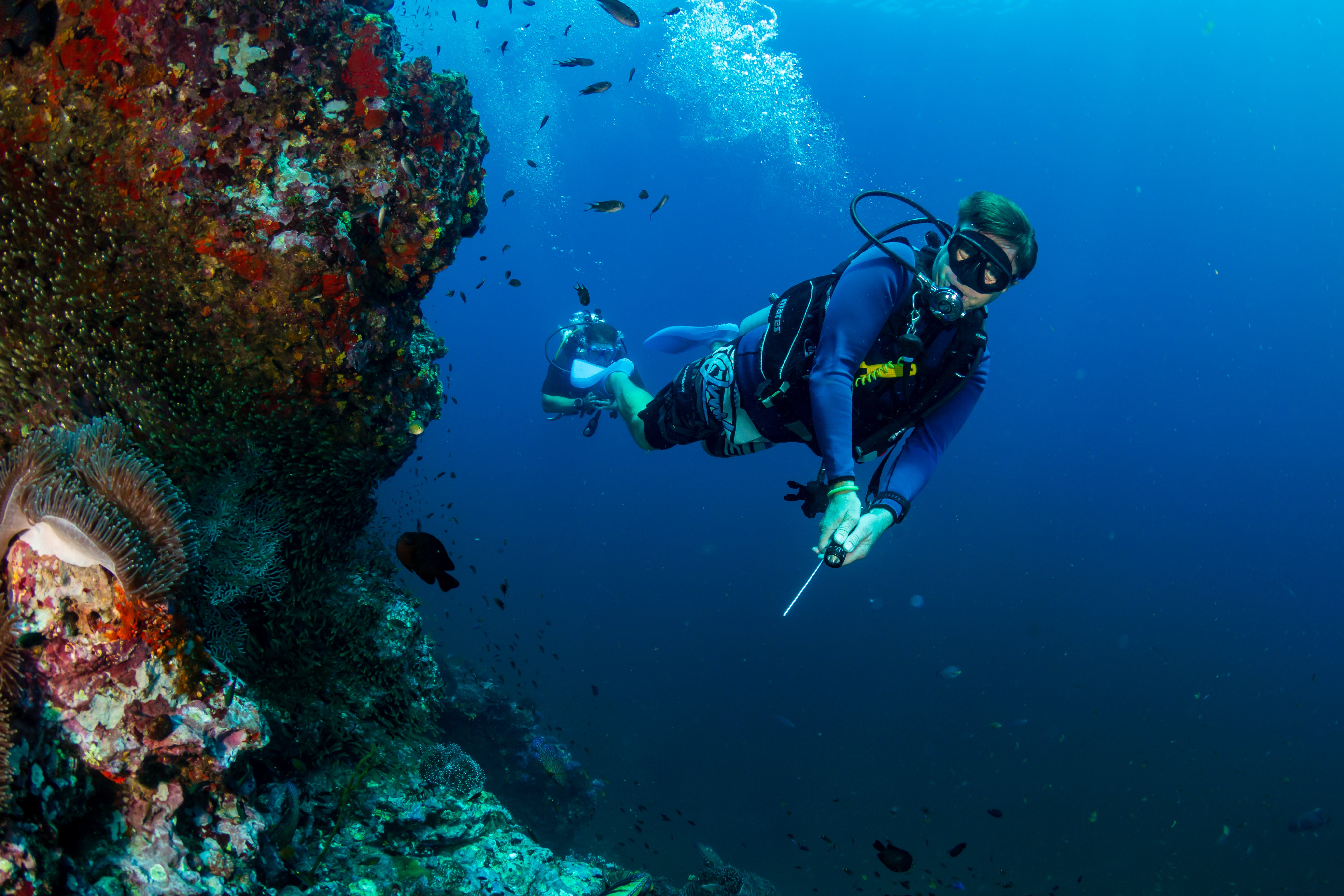 RAYA TIIMI: PETTERI - LIVEABOARD-MAESTRO – Raya Divers