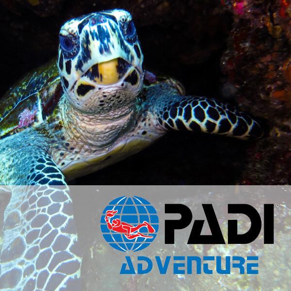 SCUBA UPGRADES (программа дополнительных услуг)